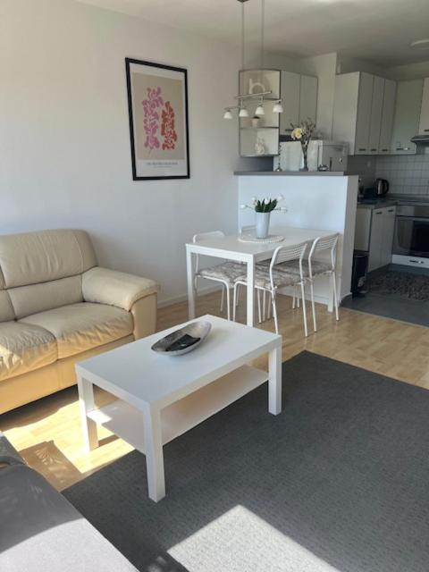 Rocco Apartment-Free Parking&Wifi 萨格勒布 外观 照片